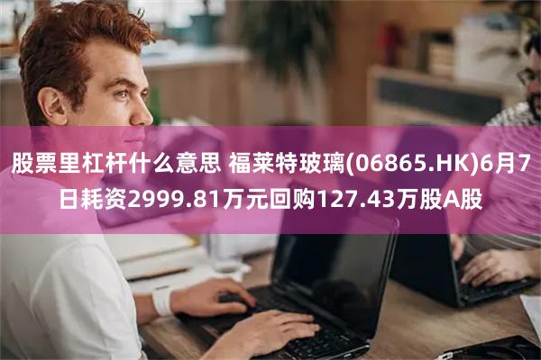 股票里杠杆什么意思 福莱特玻璃(06865.HK)6月7日耗资2999.81万元回购127.43万股A股