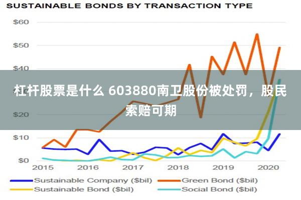 杠杆股票是什么 603880南卫股份被处罚，股民索赔可期