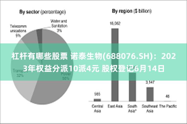 杠杆有哪些股票 诺泰生物(688076.SH)：2023年权益分派10派4元 股权登记6月14日