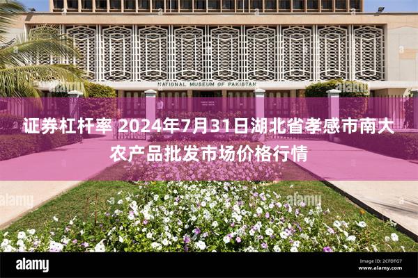 证券杠杆率 2024年7月31日湖北省孝感市南大农产品批发市场价格行情