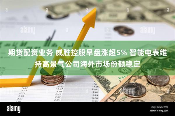 期货配资业务 威胜控股早盘涨超5% 智能电表维持高景气公司海