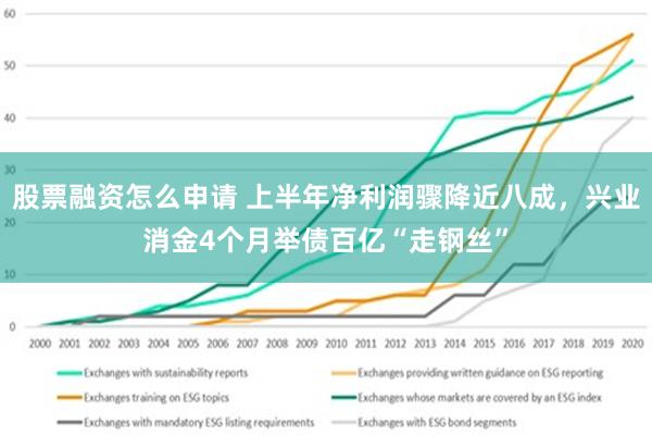 股票融资怎么申请 上半年净利润骤降近八成，兴业消金4个月举债百亿“走钢丝”