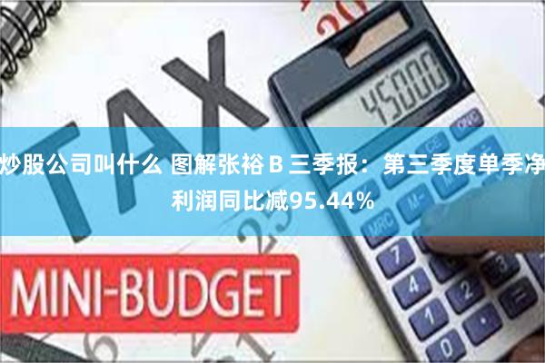 炒股公司叫什么 图解张裕Ｂ三季报：第三季度单季净利润同比减95.44%