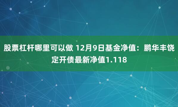 股票杠杆哪里可以做 12月9日基金净值：鹏华丰饶定开债最新净值1.118