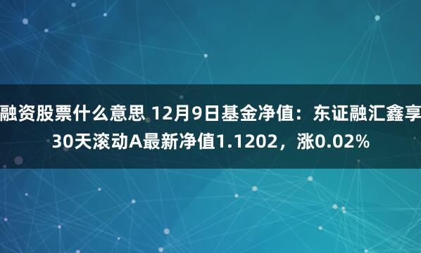 融资股票什么意思 12月9日基金净值：东证融汇鑫享30天滚动A最新净值1.1202，涨0.02%