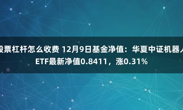 股票杠杆怎么收费 12月9日基金净值：华夏中证机器人ETF最新净值0.8411，涨0.31%