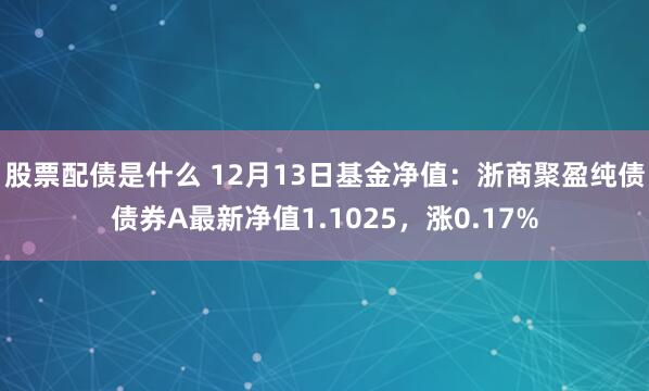 股票配债是什么 12月13日基金净值：浙商聚盈纯债债券A最新净值1.1025，涨0.17%