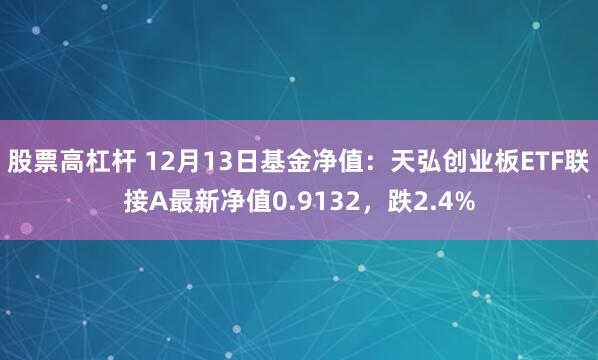 股票高杠杆 12月13日基金净值：天弘创业板ETF联接A最新净值0.9132，跌2.4%