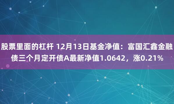 股票里面的杠杆 12月13日基金净值：富国汇鑫金融债三个月定开债A最新净值1.0642，涨0.21%