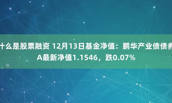 什么是股票融资 12月13日基金净值：鹏华产业债债券A最新净值1.1546，跌0.07%