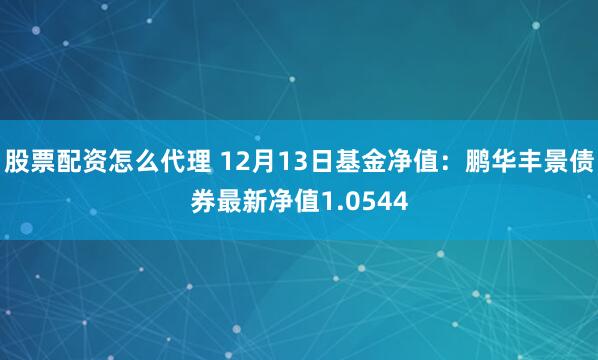 股票配资怎么代理 12月13日基金净值：鹏华丰景债券最新净值1.0544