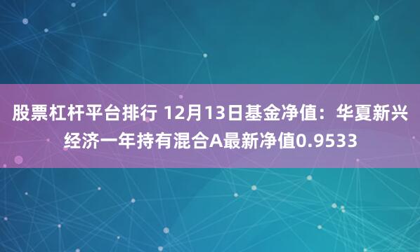 股票杠杆平台排行 12月13日基金净值：华夏新兴经济一年持有混合A最新净值0.9533