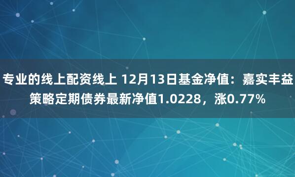 专业的线上配资线上 12月13日基金净值：嘉实丰益策略定期债券最新净值1.0228，涨0.77%