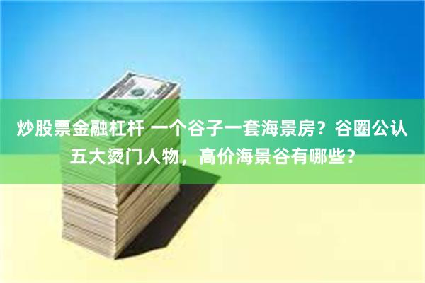 炒股票金融杠杆 一个谷子一套海景房？谷圈公认五大烫门人物，高价海景谷有哪些？