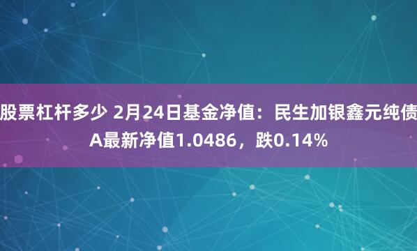 股票杠杆多少 2月24日基金净值：民生加银鑫元纯债A最新净值1.0486，跌0.14%